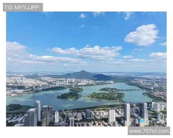 南京羽毛球队战术变革引发热议助力球队新征程